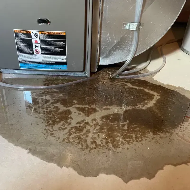 Appliance Leak Cleanup in Sunbury, OH